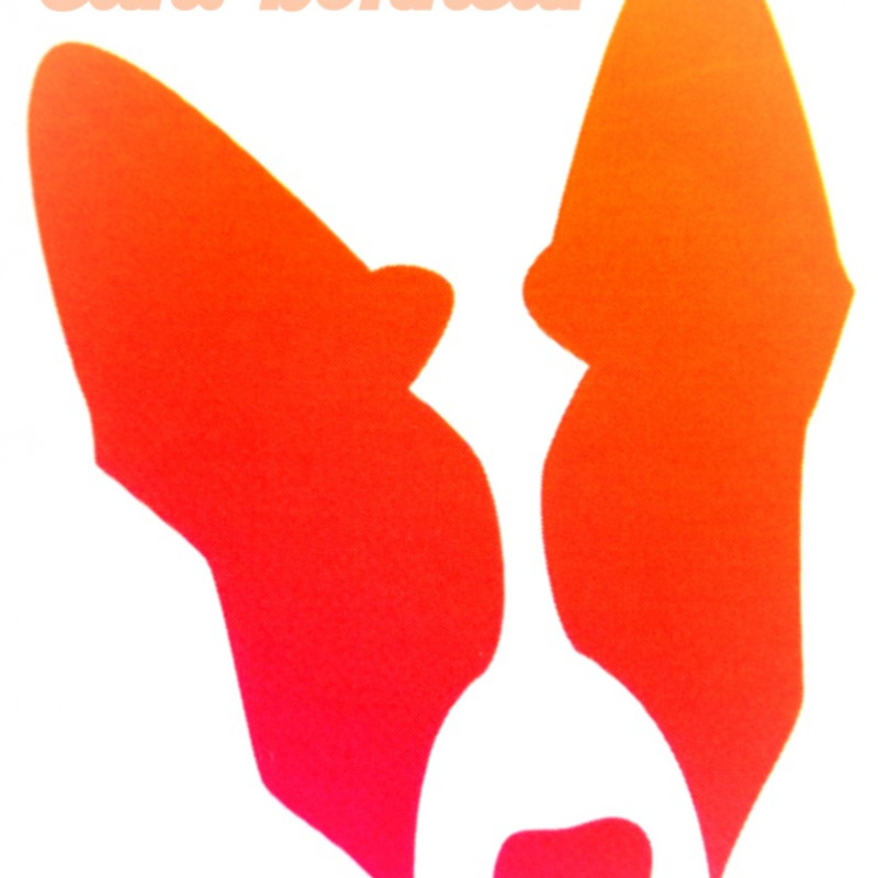 Photo de canibonheur