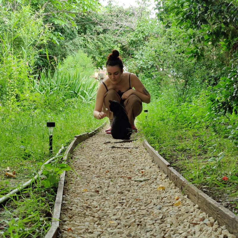 Photo de Matou' et Toutou'lousains