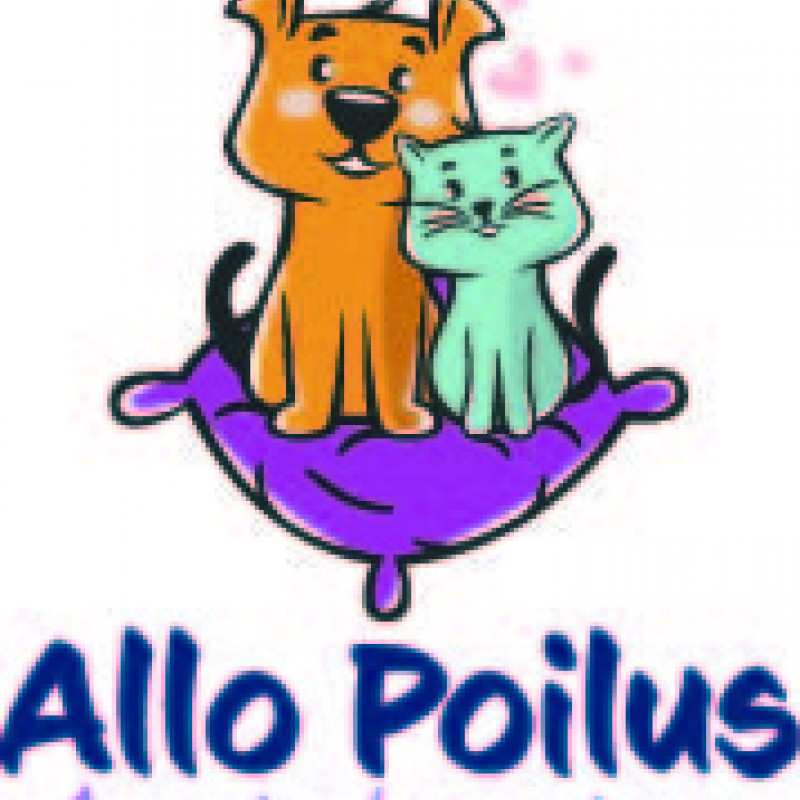 categories-image