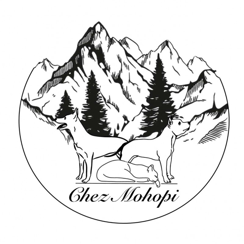 Photo de Pension canine et féline chez 