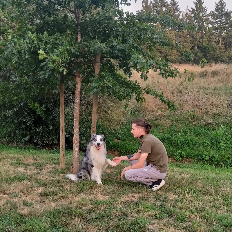 Photo de Comport.educ