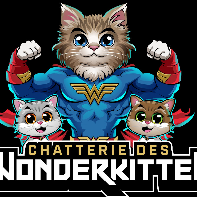 Photo de Wonderkitten